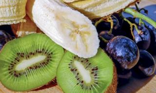 新型冠状病毒第一人 新型冠状病毒第一人